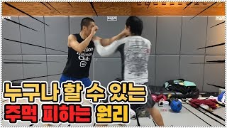 입식 3대 천왕이 알려주는 주먹 쉽게 피하는방법(유익함 주의)