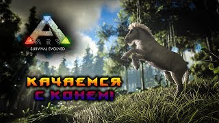 КАЧАЕМСЯ С КОНЯШКОЙ! АРК!