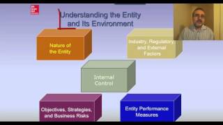 Audit risk model