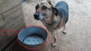 Есть ли у них будущее?