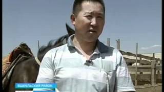 Гости из Поднебесной посетили Яшкульский район