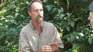 Beyond Back Yard Sustainability