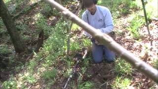 Fisher F75 Metal Detectors
