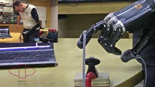 Amputee pain detection task with reflex (Movie S4, Osborn et al, Science Robotics 2018)