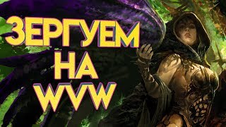 Guild Wars 2. Зергуем на WvW! Ищем фана :-D