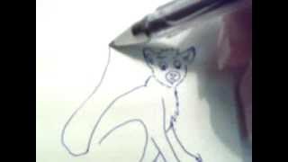 Lemur. How to draw a easy? (Лемур. Как нарисовать просто?)