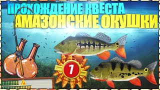 РР3 Новегия|Квест Амазонские окушки|Окунь королевский
