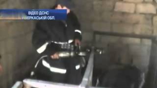 Спасатели освободили козу из железного плена (видео)