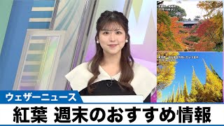 【紅葉・週末のおすすめ情報】明治神宮外苑や嵐山で見頃シーズンに