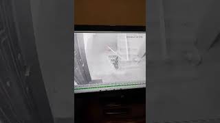 Hay axjka xaytarak pahvacq@ davtasheni shenqeric mekum