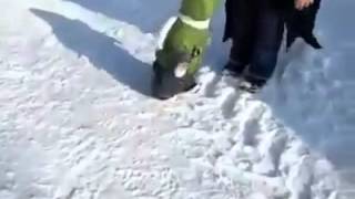 Bouncing Baby\n#Baby #bouncing #BVC Happy monkey is a joy to watch!! Thanks for