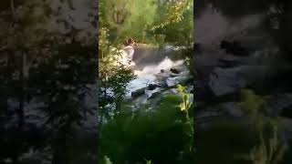Наводнение Нижнеудинск .Июнь 2019