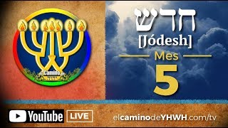 5to Mes: Poder de Escucha [Av | Shimon | Leo | Tet]