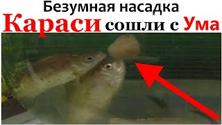 Я НЕ МОГ ПОВЕРИТЬ.Сильнейшая Насадка своими руками для рыбалки.Убийца карася.Убийца карпа.Наживка.