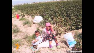 Uzbek Ҳомиладор талаба, ўқувчи - барча пахтага!