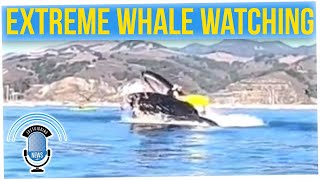 Humpback Whale Almost Swallows Kayakers Near California Beach (ft. Nikki Blades)