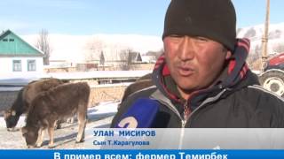 В пример всем: фермер Темирбек