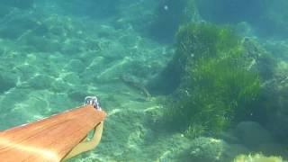 pescasub sardegna_ a Porto Corallo con Marcello