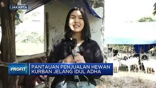 Laris Manis Penjualan Hewan Kurban Jelang Iduladha