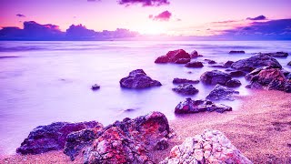 Healing Music To Balance Your Mind | 528Hz Miracle Meditation | Music Positive Energy Healing | Love