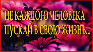 МУДРАЯ ПРИТЧА ДЛЯ РАНИМЫХ ЛЮДЕЙ Читает Леонид Юдин