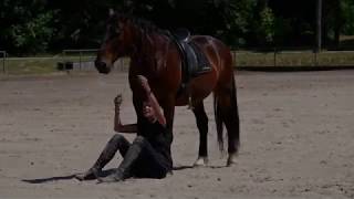 Katja Schnabel - Vom gebißlosen zum freien Reiten (Arbeitstitel)