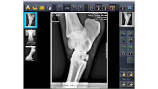 EXAMION DR 810 Case Solution (rus)