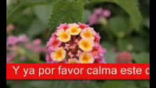 Catherine - Calma este dolor