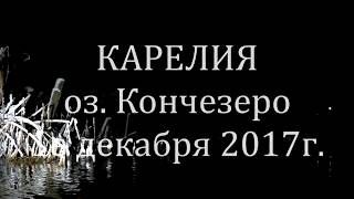 Подводная охота в Карелии 1го декабря.