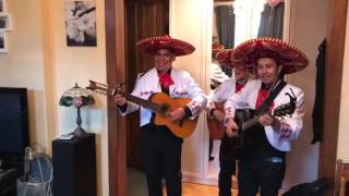 С днем рождения! Мексиканская группа Mariachi Mexico