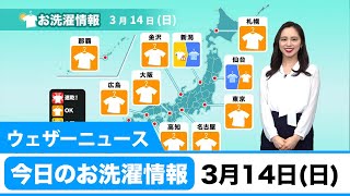 今日のお洗濯情 3月14日（日）