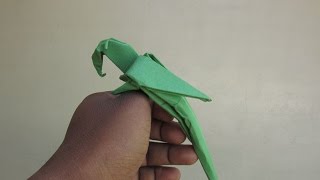 How to Make a Paper Macaw Parrot - Easy Tutorials