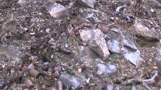 Metal detecting and the jar of gold1