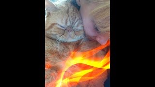 Создай себе хорошее настроение