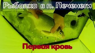 Рыбалка на Печенежском водохранилище. Первый подлещик в новом году