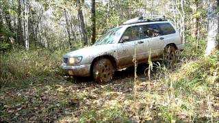 Nissan X-Trail - Едем по лесу, преодолеваем ров