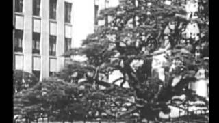 陸軍士官学校（1937年）
