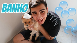 DANDO BANHO NO KINDER MEU LULU DA POMERANIA