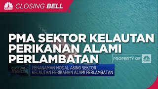 Penanaman Modal Asing Sektor Kelautan Perikanan Alami Perlambatan