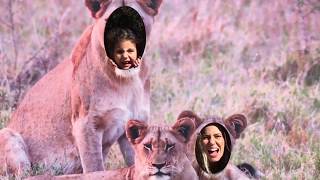 Zoológico de Miami  - Visitando os animais no Zoo.