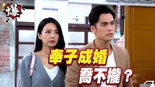 《多情大爆爆》多情城市 EP260 奉子成婚 喬不攏？