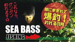 シーバス爆釣！リアルに釣れてるノウハウ！釣り方紹介！