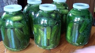 Огурцы СОЛЕНЫЕ в банках под капроновую крышку, Консервация