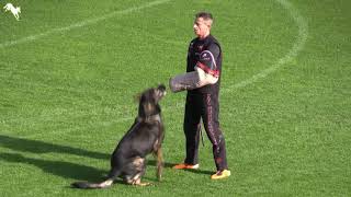 Václav Ouška and Qvido Vepeden 2018 IGP World Cup Winner Protection routine
