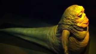 Original Jabba the Hut eyes