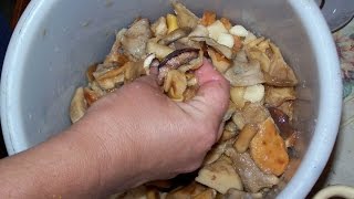 Засолка грибов. Видеокурс. Часть 4  Непосредственно соление