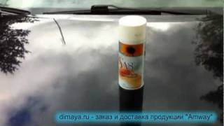 Убираем следы липких почек и пятна с кузова автомобиля