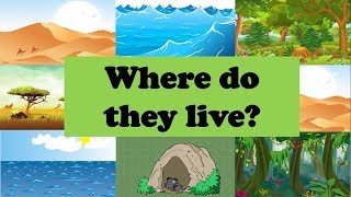 Где живут животные? Где ты живешь? Учимся говорить на английском