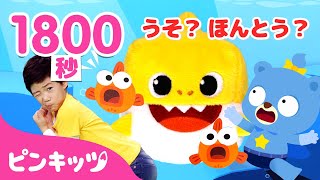 うそ?ほんとう? エイプリルフールの歌 | 童謡メドレー | サメのかぞく | 子供の歌 | ピンキッツ! 童謡と子どもの動画