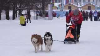 Volga Quest 2015